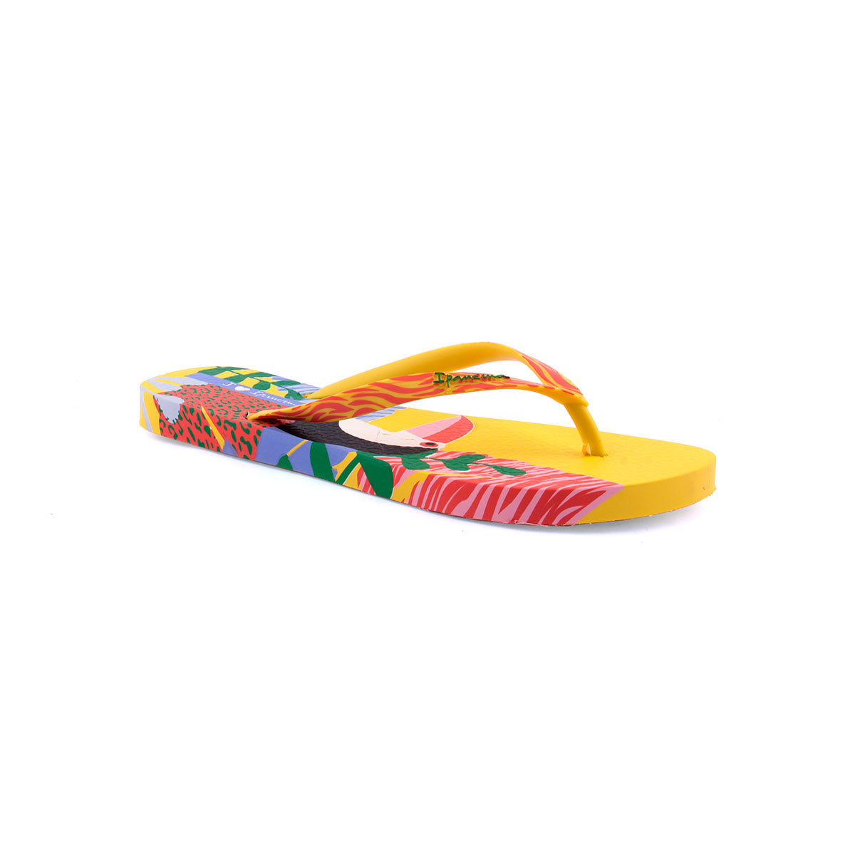 Chinelo IPANEMA