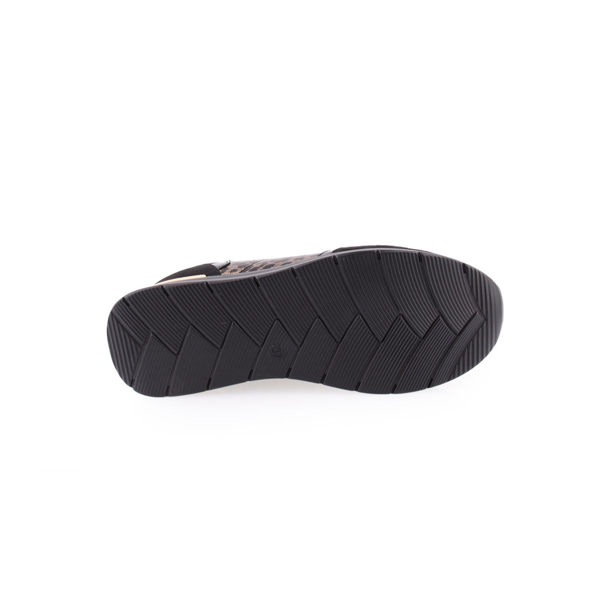 Sapato Desportivo LAPIERCE