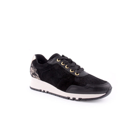 Sapato Desportivo WALKWELL