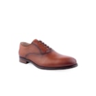 142S-SH-0064-19-Camel1_1-1
