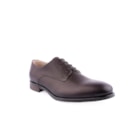 142S-SH-0065-19-Castanho1_1-1