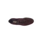 082-204-CB-Castanho6_1-6