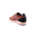 160-3031-Camel4_1-4