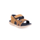 298B-2135-137-Camel1_1-1