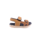 298B-2135-137-Camel2_1-2