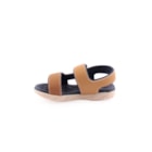 298B-2135-137-Camel3_1-3