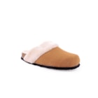 294-X073-Camel1_1-1