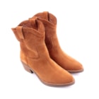 072C-4976-CP-Camel2_1-2