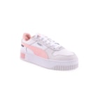 085E-389390-05-Br-Rosa1_1-1