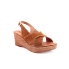228-23112-C-Camel1_1-1