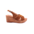 228-23112-C-Camel2_1-2