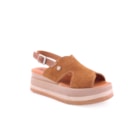228-23001-C-Camel1_1-1