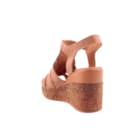 252T-23402-Camel4_1-4