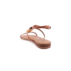 252Y-23160-Camel4_1-4
