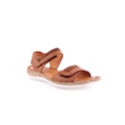 071-HM16-Camel1_1-1