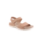 087A-9036-Camel1_1-1