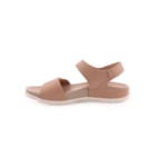 087A-9036-Camel3_1-3
