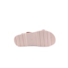 087A-9036-Camel5_1-5