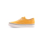 071-SP38-Amarelo3_1-3