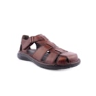 160-68771-Cognac1_1-1