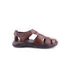 160-68771-Cognac2_1-2