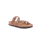 294-PR2063-Camel1_1-1