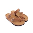 294-PR2063-Camel2_1-2