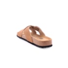 294-PR2068-Camel4_1-4