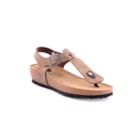 294-PR2069-Castanho1_1-1