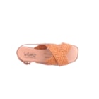 081-J316-Camel6_1-6
