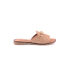 162-007-2381-C-Camel2_1-2