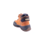 087A-2440-Camel4_1-4