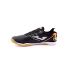 278-MAXS2301IN-Pr