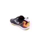 278-MAXS2301IN-Pr