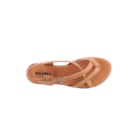 228-23235-Camel6_1-6