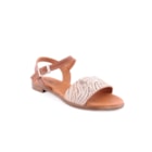 228-23361-C-Camel1_1-1
