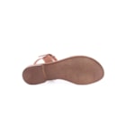 228-23361-C-Camel5_1-5