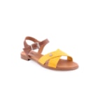 228-23501-CR-Amarelo1_1-1