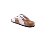 294-PR2005-Prateado4_1-4