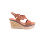072C-4640-Camel2_1-2