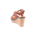 072C-4640-Camel4_1-4