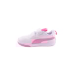 085E-380741-23-Br-Rosa3_1-3