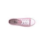 071-PP02-Rosa6_1-6