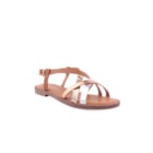 071-JK32-Camel1_1-1