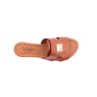 082-785-Camel6_1-6
