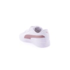 085E-394253-04-Br-Rosa4_1-4