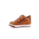 087A-2227-Camel3_1-3