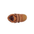 087A-2227-Camel6_1-6