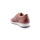 257-6014-Camel4_1-4