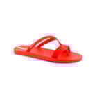 007-IP-19-038-Vermelho1_1-1